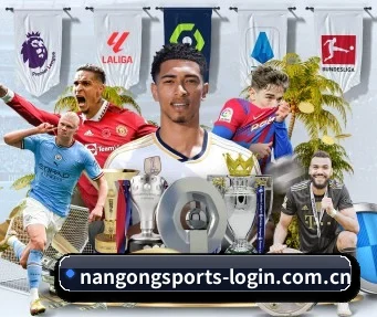 南宫体育官网入口 APP(NGSPORTS)